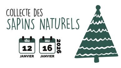 Collecte des sapins naturels : du 12 au 16 janvier 2026