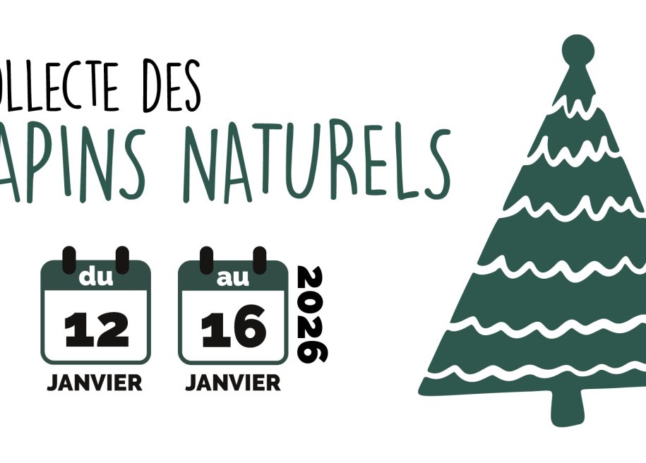 Collecte des sapins naturels : du 12 au 16 janvier 2026